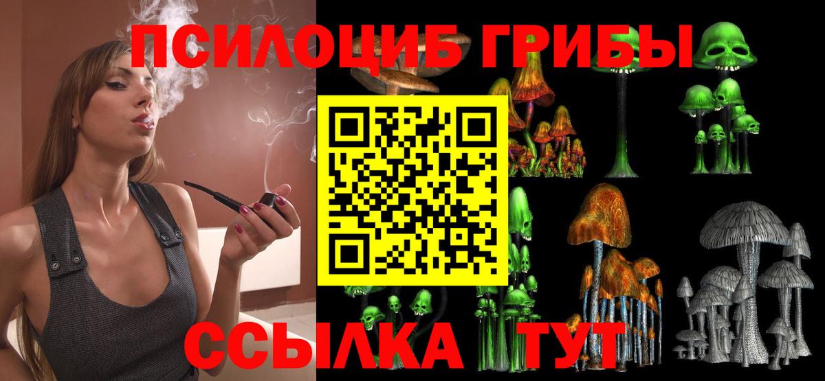 Галлюциногенные грибы Psilocybe Ишим